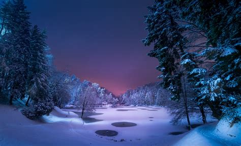 Night Landscape Snow Ice Winter Trees Nature Wallpapers Hd