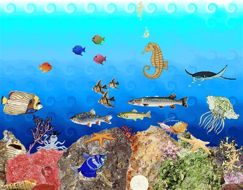 49 Free Animated Underwater Wallpaper Wallpapersafari