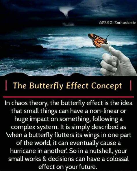 Enthusiastic I The Butterfly Effect Concept I In Chaos Theory The