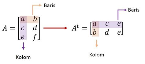 Contoh Soal Transpose Matriks Riset