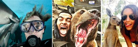 Snapping Selfies With Wild Animals Is A New Trend Brain Berries