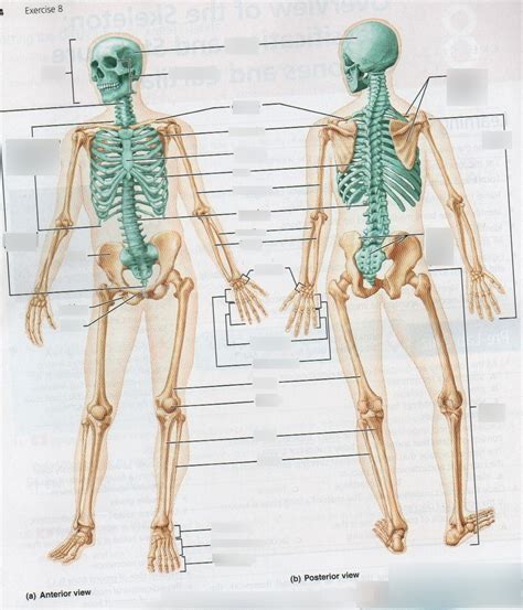 Figure 81 Lab 8 Overview Of The Skeleton Classification And