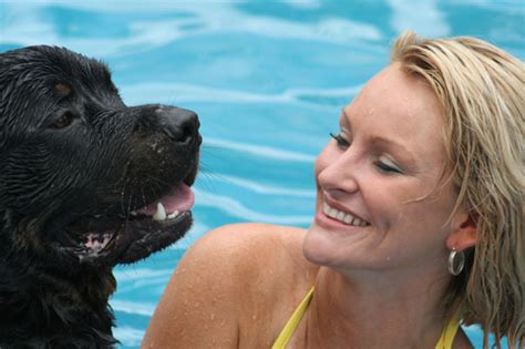 Summer Safety Tips For Pets