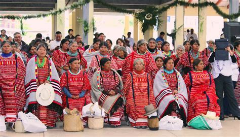 Día Internacional De Los Pueblos Indígenas Décimo Aniversario Cio