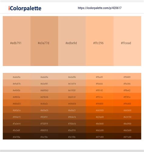 150 Latest Color Schemes With Peach Orange Color Tone Combinations