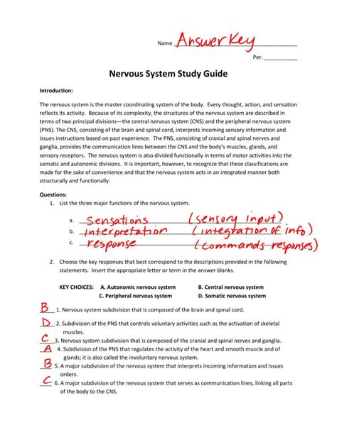 Nervous System Worksheet With Answers