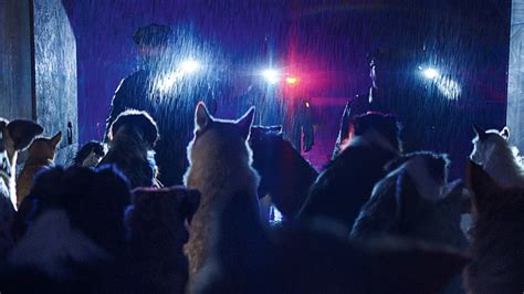 Dogman · Film 2023 · Trailer · Kritik