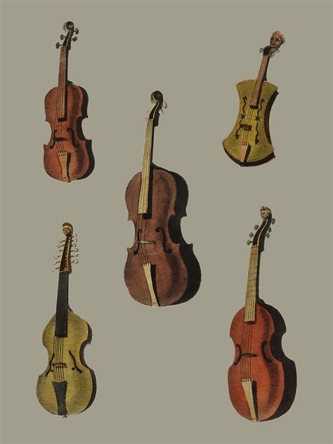 A Collection Of Antique Violin Viola Cello And More From Encyclopedi
