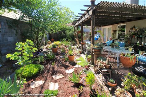 Linda's Sacramento backyard succulent garden