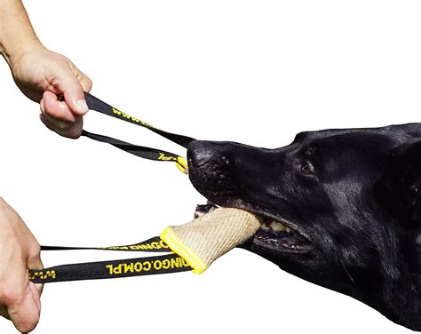 Dingo Jute Bite Tug With Two Handles For Tug Of War Dog Fun And Bite