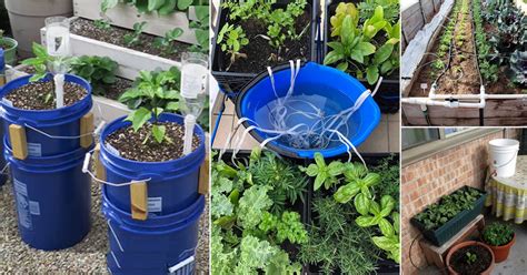 23 Diy Garden Watering Aid Watering Systems You Can Create For Garden