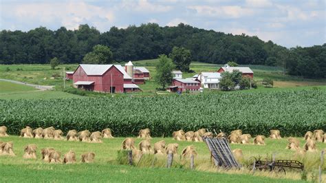 Amish Phone Wallpapers Wallpaper Cave