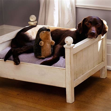 Cool Dog Bed Ideas