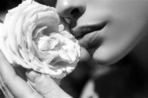 Beautiful Female Mouth Plump Full Lips Beautiful Woman Lips With Rose