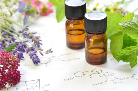 Lavender essential oil is the mother of all multitaskers. How do Essential Oils Really Work? - The Purposeful Mom