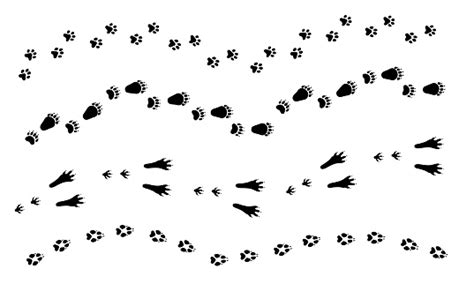 Sie erzeugen unterschiedliche bilder, die für jede tierart typisch sind und auskunft über ihre lebenssituation geben. Cat Dog Wolf Rabbit Bear Foot Print Paw Set Animal Tracks ...