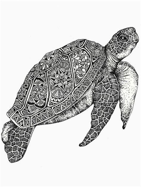 Zentangle Turtle Zentangle Art Doodles Zentangles Drawings My Xxx Hot