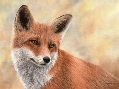 Red Fox Painting Painting By Rachel Stribbling Pixels