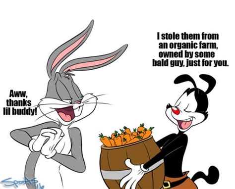 Ask Bugs Bunny Animaniacs Animaniacs Funny Cartoon Crossovers
