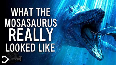 What Does A Mosasaurus Look Like