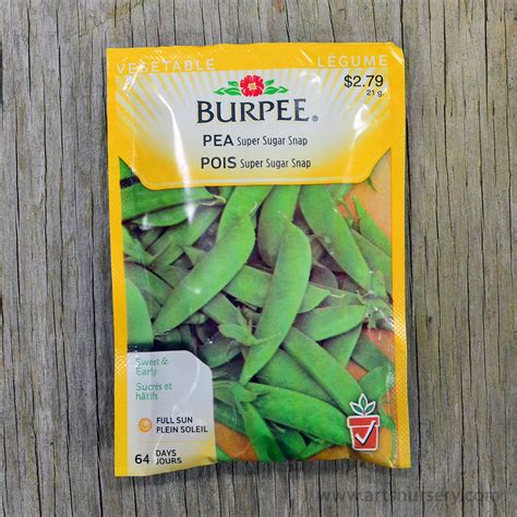 Super Sugar Snap Pea Seeds Burpee Arts Nursery Ltd