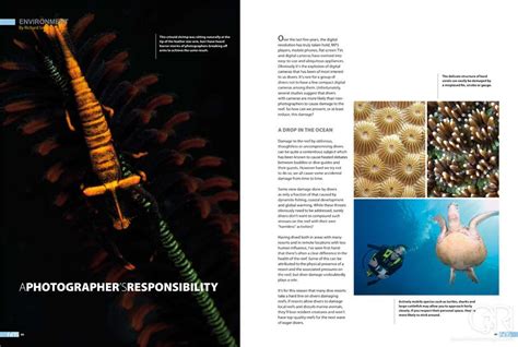 Fins Issue 73 A Photographers Responsibility Dr Richard Smith