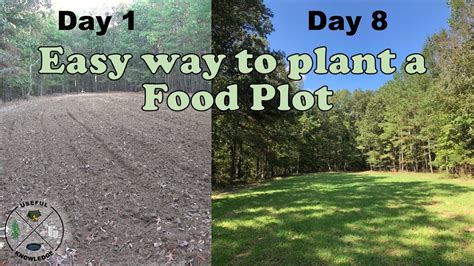 How To Plant Food Plots For Deer Useful Knowledge Youtube