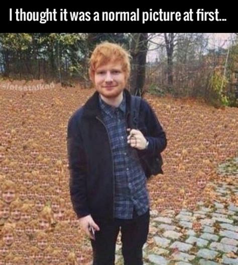 No, not full body shots of him running down the street shirtless, but pics of his. There's Something Off About Ed Sheeran Photo (With images) | Funny pictures, Funny memes, Ed sheeran