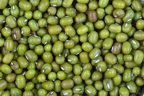 Cook our mung beans with spices to prepare soups or curries you can consume as a standalone meal or. Mung bean: Wiki facts for this cookery ingredient