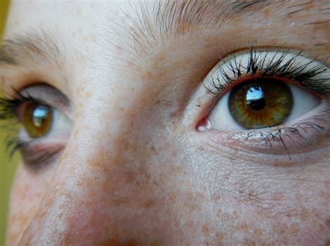 Eyes Free Stock Photo Public Domain Pictures