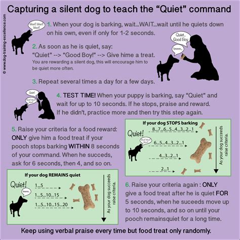 How To Stop Dog Barking Teach Your Dog The Quiet Command