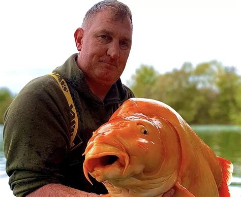 Man Catches Giant Goldfish Named The Carrot Bbc Newsround