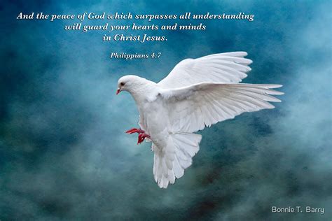 The Peace Of God Which Surpasses All Understanding By Bonnie T