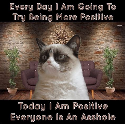 Grumpy Cat Is Going To Try Being More Positive Funny Grumpy Cat