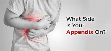 Appendix Location 5 Warning Signs Your Appendix Is About To Burst