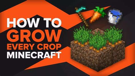 Heres How To Grow Every Crop In Minecraft Farming Guide Theglobalgaming