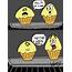 My Khimology Life The Muffin Joke 