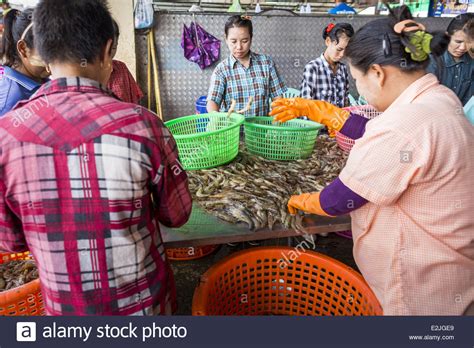 Myanmar Coup Workers Hi Res Stock Photography And Images Alamy