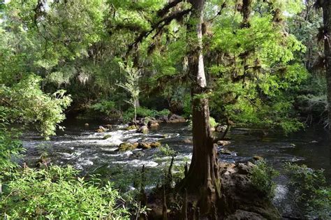 10 Scenic Nature Parks For Hiking In Tampa Bay