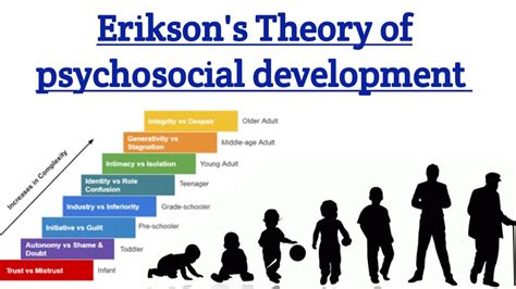 Eriksons Theory Of Psychosocial Development Psychology 8 Stages Of