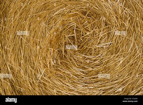 Close Up Image Of Hay Straw Stack Agriculture Background Stock Photo