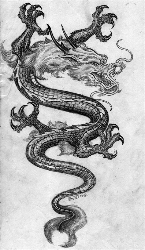 Chinese Dragon Pencil Sketch Rart Dragon Tattoo Art Japanese