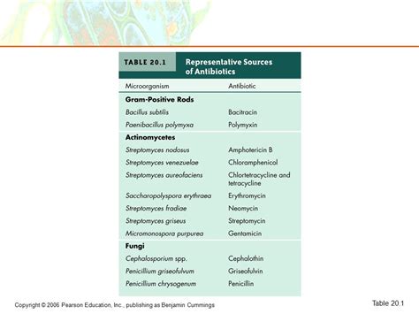 Copyright © 2006 Pearson Education Inc Publishing As Benjamin