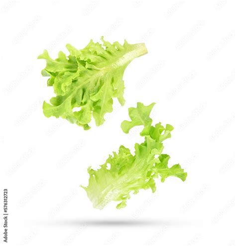 Fresh Salad Green Lettuce Leaves Falling In The Air Isolated On