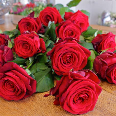 Order online to send beautiful bouquet for your family and friends in chennai on special celebrations and occasions like valentine's day, mother's day, christmas, rakhi. Valentine's Day Bouquets | Amanda Austin Flowers | Blog