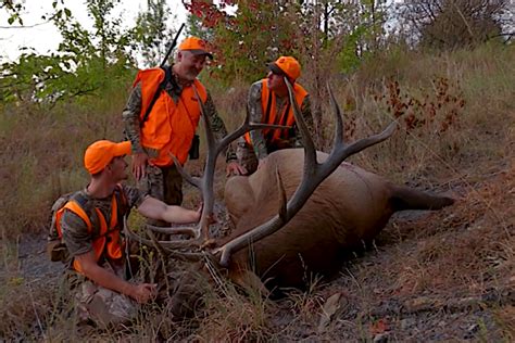 Kentucky Elk Hunting 101 How To Bag A Bull In The Bluegrass State