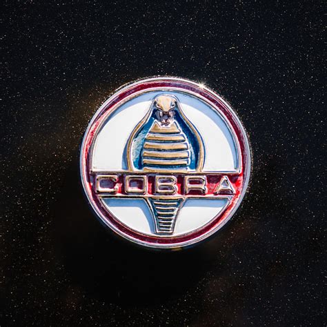 1965 Shelby Cobra 289 Emblem 0422c Photograph By Jill Reger