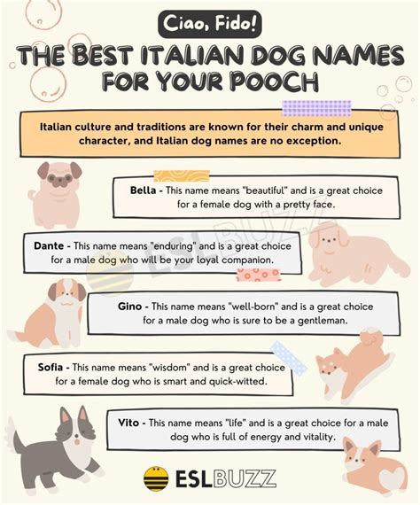 Italian Dog Names Discover Unique And Meaningful Names For Your Furry