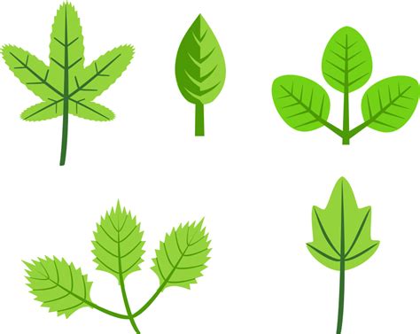 Free Leaf Clipart Pictures Clipartix