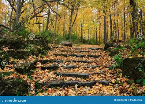 Autumn Steps Stock Photo Image Of Idyllic Colors Park 29608786